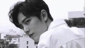 肖战事件娱乐圈吃瓜,肖战事件引发的吃瓜热潮