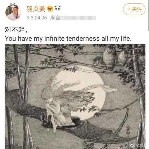 徐新俊照片,定格岁月的永恒魅力